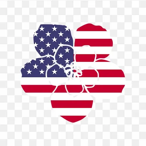 USA Flag Flower Shape Png Stock Image